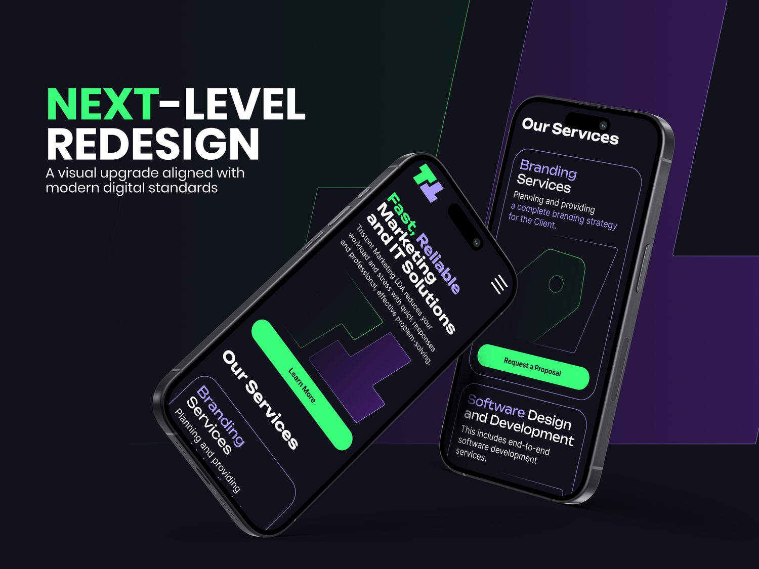 tristont case study screenshot 1